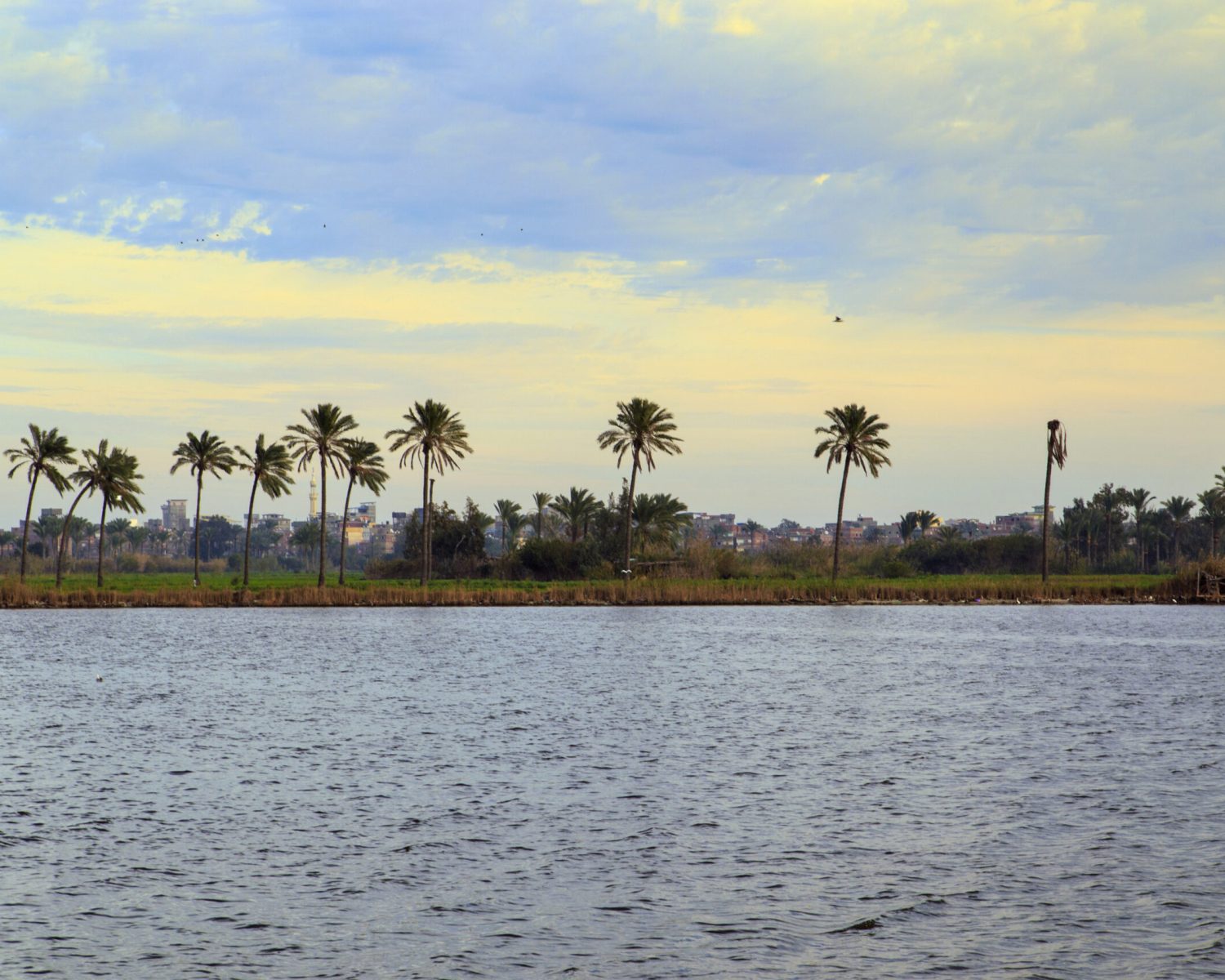 Beautiful nature of Egyptian country.